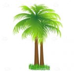 A Pair of Coconut Tree’s
